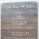 439회 평낮걷기 누룩실재.다무락마을. 화엄사. 구례 산수유 반곡마을..4 이미지