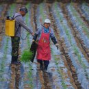 광전1리 이미지