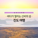 보배진돗개판매장 | 국내 추천 여행지 바다가 열리는 신비의 섬 -진도 여행-
