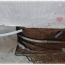 주흥6길 6 | 반포동변기막힘이라는 단어가 이렇게 현실적으로 다가올 줄은 솔직히 몰랐다