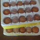 삼기농장 이미지