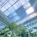 팜솔루션 이미지