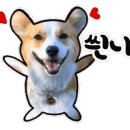 노은헤어 - 유성구 | 노은헤어