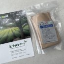 보성선운제다 이미지