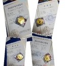 종이접기지도사 초급 자격증 이미지