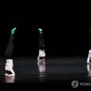 바디콘서트 이미지