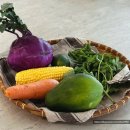 즐거운푸드 | [용산 쿠킹클래스] 몸도 마음도 힐링되는 쿠킹클래스 워크샵 후기:: 푸드파머시 Food Pharmacy