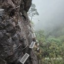 2020-주140 | 중국 망산(천태산) 트레킹 2025. 11. 1.