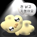 메리블라썸 | [W. 아이폰스냅] 웨딩시그니처 메리블로썸 계약 후기