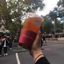 플란다스 힐 이미지