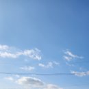복지개화충전소 Daum카페