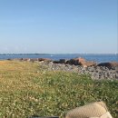 교동호프 이미지