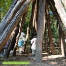 초록어린이집 | 어린이집 숲놀이, 장점과 단점 솔직 후기/ 인왕산 유아숲체험원