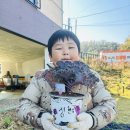 [자연놀이] 무를 수확하고 꽃배추를 심어요🥬 이미지