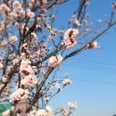 도동농장 이미지