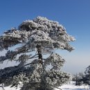 한국폴리텍 II 대학 남인천캠퍼스 | 2025. 전국 전문대, 전문대학, 130개대, 공학대학 등록금 순위, 현황, 인문사회,자연과학,예체능 순위 !!!
