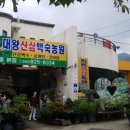 대왕산삼백숙농원 이미지