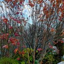 (주)이든조경 이미지