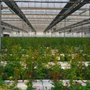 오수농장 이미지