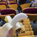 봉구스밥버거 반송점 | 창원실내체육관 근처 먹을만한 밥집 / 창원시외버스터미널 근처 밥집 / 창원엘지세이커스