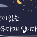 통영 다찌 골목, 통영 맛집 다찌 3곳 후기