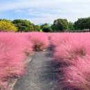 미사경정공원 이미지