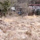 밴드공인중개사사무소 이미지