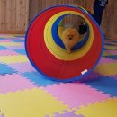 양양 해오름 펜션 이미지