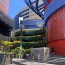 건영마트자판기 | 1편> 천억 쓴 후쿠오카 4박5일 여행 (하카타 잇소우 라멘 / 꼼데가르송 / 캐널시티 / 캔메이크 모모...