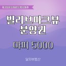 빌리브파크뷰 분양권 매물현황..로얄층 이월드영구조망세대