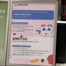 치즈폼(cheese foam) | 차백도 산본 롯데피트인 카페 군포 메뉴 추천 타로볼 밀크티 우롱 소이빈 밀크티 후기