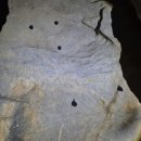 고수동굴 주차장 | [단양 / 고수리] 단양 여행 필수 코스 고수동굴 방문 후기｜직접 가본 솔직 후기