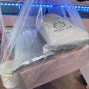 어서오시게 신중동 | 부천 신중동 대게 맛집 어서오시게 신중동점 솔직후기