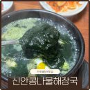 진주콩나물해장국 | 진주 해장국맛집 평거동 신안콩나물해장국 매생이굴국밥 후기