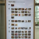 (주)마마쿡 | 영등포 타임스퀘어 지하 맛집 정리 - 층별 식당 리스트 및 주차 할인권 제공 시간 안내