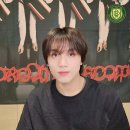 드림바스