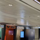 민을 | [허니문-5]투어민ㅣ 두바이 공항에서 호텔까지 픽업샌딩 후기(매직아라비아 이용)