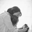 비보루즈 이미지