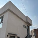 노리댕댕 이미지