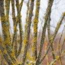 토토로마을 이미지