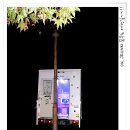 파회주차장 이미지