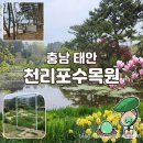 봄맞이 꽃그림 보태니컬 아트 | [충남 태안] 천리포수목원 - 환상적인 바다 뷰를 보며 거니는 힐링 산책