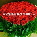 5월 이미지