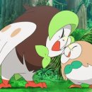 썬 하우 이미지