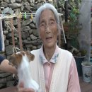 사천농장 이미지