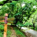 정암사 주차장 이미지