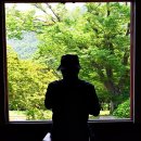 다산초가 이미지