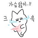 일번지수산