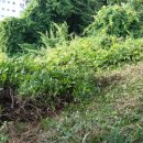 사천고등학교 이미지