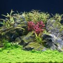 진성이발관 이미지